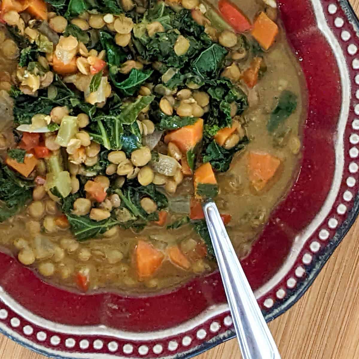 Hearty green lentil and kale stew in a vibrant patterned bowl.